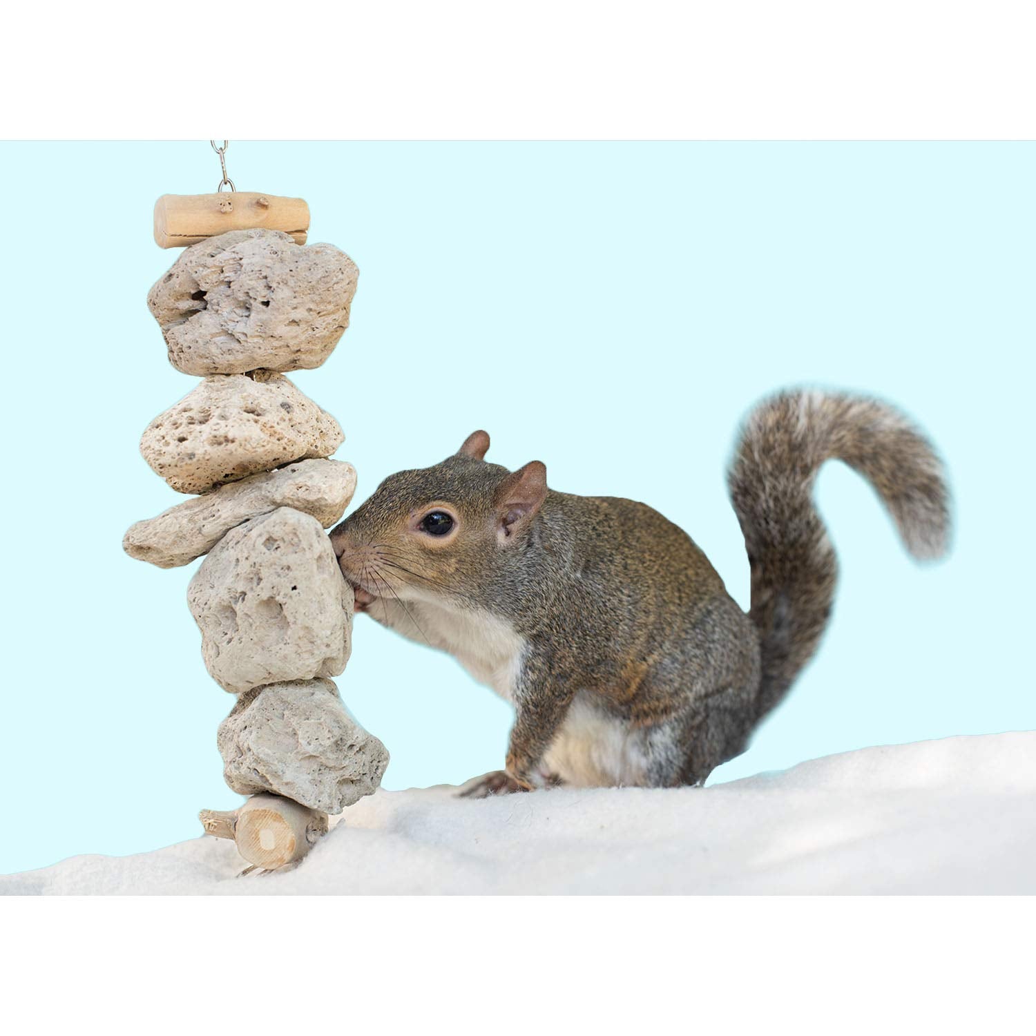 Exotic Nutrition Pumice Chew Dangle - Natural Healthy Hanging Cage Accessory Toy - For Squirrels, Degus, Chinchillas, Prairie Do